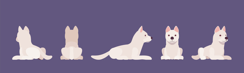 Fototapeta na wymiar White shepherd dog lying. Working active breed, cute family pet, companion for disability assistance, search, rescue, police and military help. Vector flat style cartoon illustration, white background
