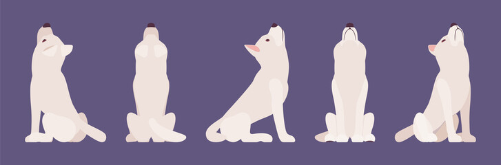 White shepherd dog howling. Working active breed, cute family pet, companion for disability assistance, search, rescue, police, military help. Vector flat style cartoon illustration, different views