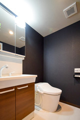 リノベーション　洗面化粧台　トイレ　一体