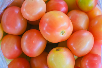 Fresh tomatoes