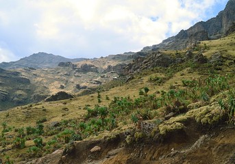 Ethiopia.Mountain Simen National Park. African rift fault.