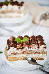 Homemade tiramisu cake on a light background