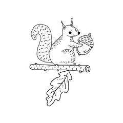 Vector doodle style squirrel on white background.