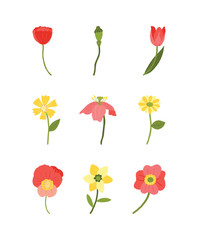 Vector flower set isolated on transparent background.