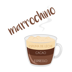 Vector illustration of a Marrochino coffee cup icon with its preparation and proportions and names in spanish.