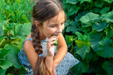 Little cute girl with a long braid, eating a cucumber plucked from the garden
