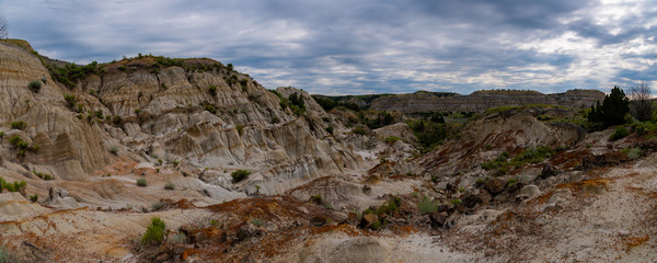 The Landscape Views of Theodore Roosevelt National Park in July 