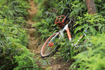 Fototapeta na wymiar Abandoned shared bike on mountain