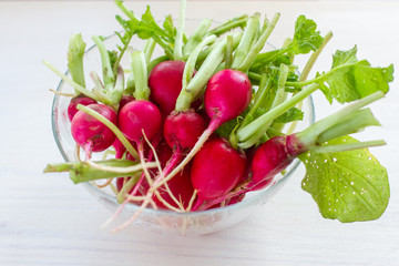 fresh radishes in a glass bowl