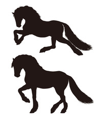 The silhouette of a horse