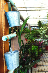 Metal buckets for plants in the garden.