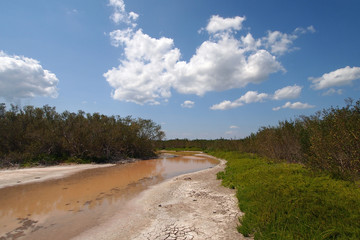 Fototapeta na wymiar Eco Pond in Everglades National Park, Florida, in extreme drought conditions.