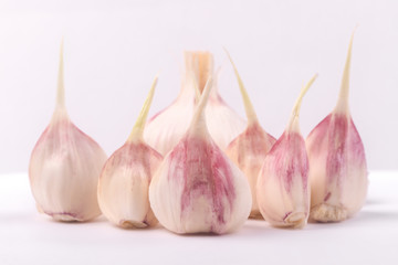 head of young garlic and cloves on a gray background