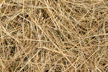 Heu auf der Wiese als Hintergrund und Struktur