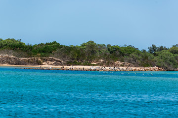 beach and tropical sea