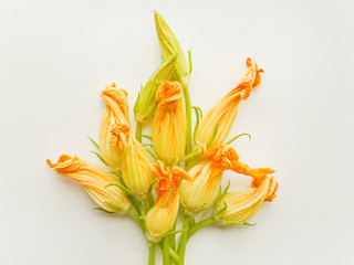 Fototapeta na wymiar Zucchini edible flowers