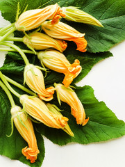 Zucchini edible flowers
