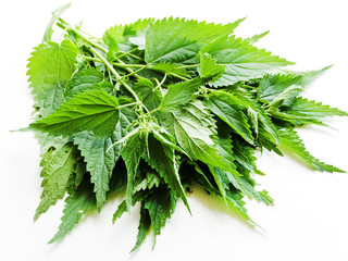 Fototapeta premium Nettles on white