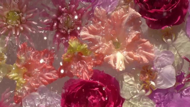 Glowing rain drops falling down on romantic colourful flowers, floating on the water surface as beautiful relax decoration. Close up slow motion shot. Top view.