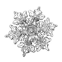 Snowflake isolated on white background. Illustration based on macro photo of real snow crystal: elegant star plate with fine hexagonal symmetry, six short broad arms and complex inner pattern.