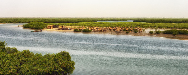Island composed of shells with granaries on stilts out in the sea to protect from fire, Joal Fadiouth, Senegal © atosan