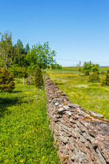 Fototapeta na wymiar Stone wall on a flowering summer meadow