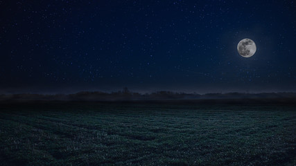 Fototapeta na wymiar Full moon night landscape with fog in the background
