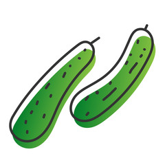 Linear vector handdrawn juicy vegetables and fruit.  Gradient color eco natural healthy organic cucumber. Sketch style illustration