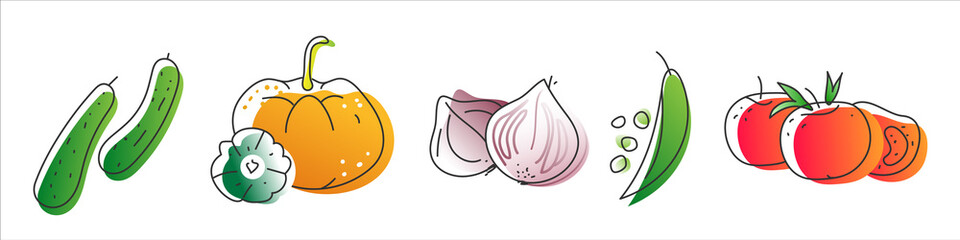 Collection of eco natural harvest products, illustrations in sketchy style of healthy eco natural vegetables, free hand vector drawing.  Images of farming veggies, good for farming market, restaurant