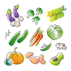 Collection of eco natural harvest products, illustrations in sketchy style of healthy eco natural vegetables, free hand vector drawing.  Images of farming veggies, good for farming market, restaurant