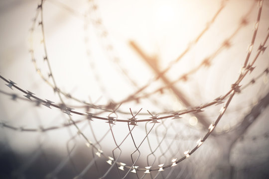 The mesh of the metal fence on top of the wound spiral barbed wire, a sharp blade which reflects the Sunny morning light and the bright sky. The hope of freedom.