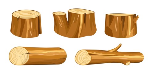 Wood stump and log wooden forest natural materials