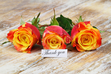 Thank you card with one colorful rose on rustic wooden surface
