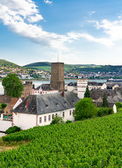 Boosenburg in Rüdesheim on the Rhine on a wonderful summer day