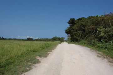 Fototapeta na wymiar 片側に草原のある未舗装の白い一本道