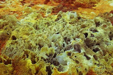 Fototapeta na wymiar Ethiopia . Colored fumaroles of the volcano Dallol.