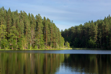 Fototapeta na wymiar Small stream among pines. Karelia, Russia