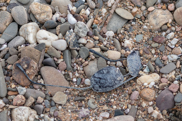 Kaputte Sonnenbrille wurde weggeworfen und am Ufer angespült als Plastikmüll und Strandgut oder Treibgut und zeigt Folgen des Tourismus und Touristen-Müll mit Folge verschmutzter Meere und Strände
