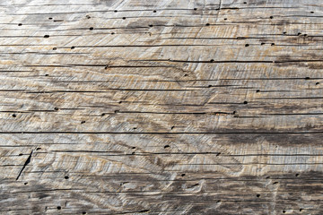 Wooden textures on old weathered log