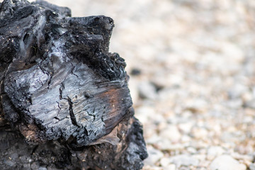 Verkohltes Holz eines wilden Lagerfeuers am Flussufer zeigt schwarze Kohle als Ergebnis von verbranntem Holz und Überreste von Camping und Zelten im Freien oder Buschfeuer