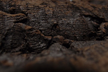 Bark