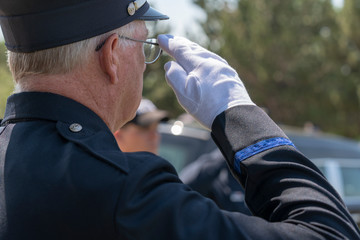 Military Member Saluting during Veteran's Day Ceremony