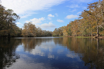 Fisheating Creek, Florida, on an autumn afternoon