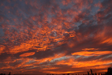 red sky