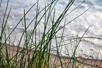 Obraz premium Inks Lake State Park 2019