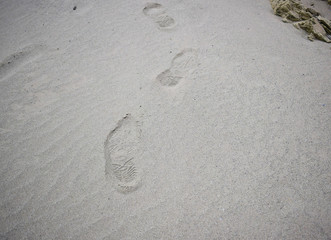 Fototapeta na wymiar Beautiful sand background,Footprint on sand,Small plants on the sand.
