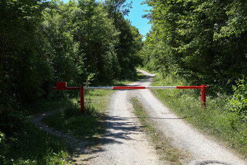 Obraz na płótnie Canvas Forest road with a barrier at the entrance