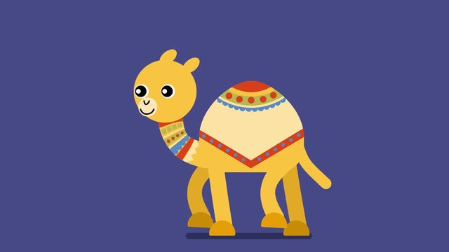 Walk cycle of a cute baby camel with decorate Saddles. 2D animation made in 4K, loopable clip with alpha channel. Copy space
