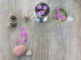Blooming Willow herb Ivan tea at the baltic sea background
