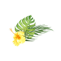hand drawn watercolor tropical plants. bouquet with monstera leaf and hibiscus flowers isolated on white background. element for design, invitation, greeting card